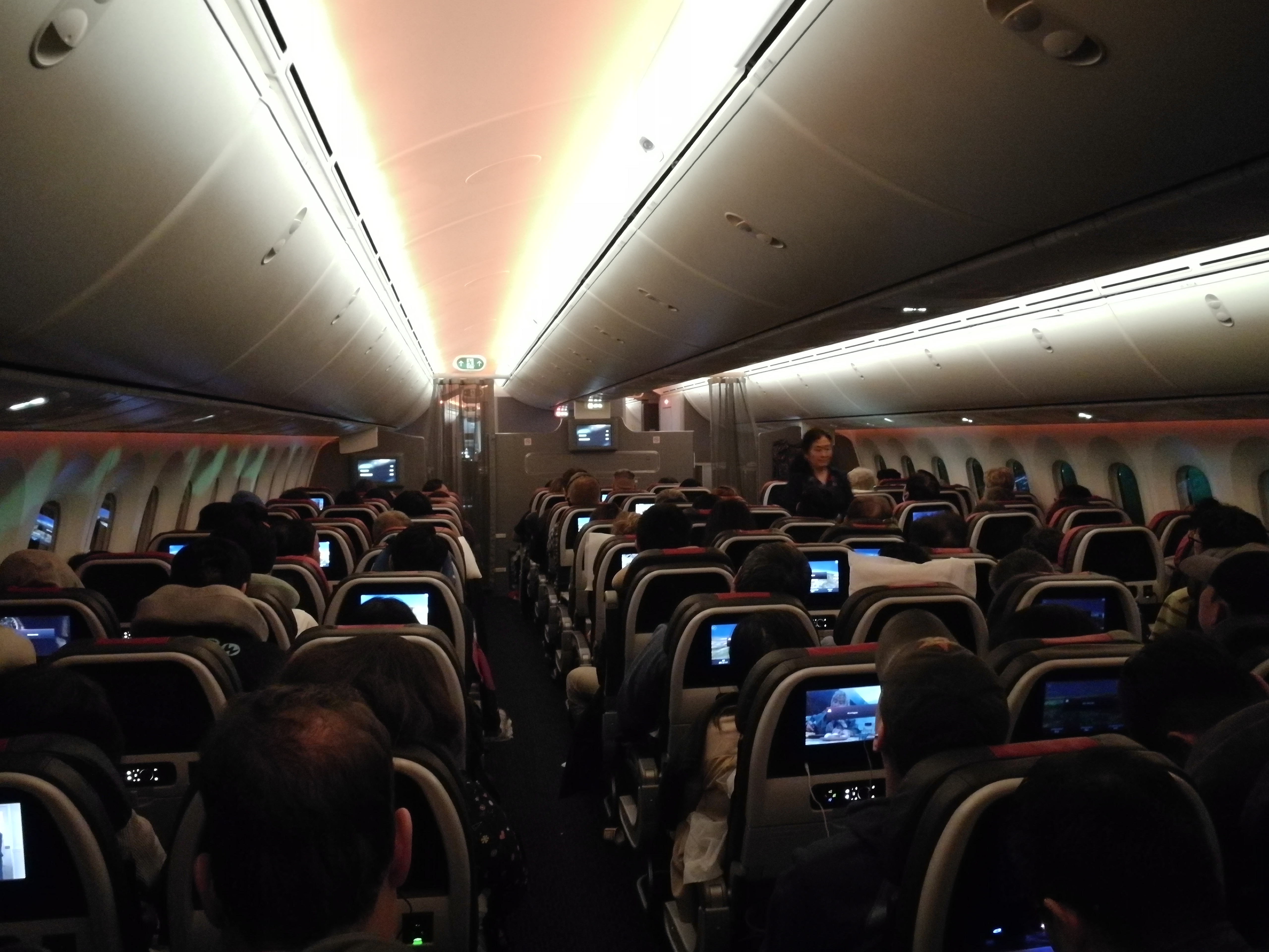 American Airlines 787 Economy Class
